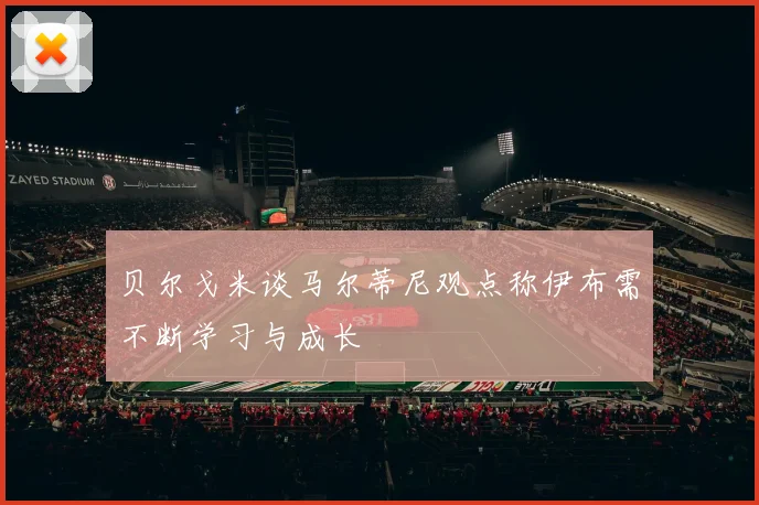 贝尔戈米谈马尔蒂尼观点称伊布需不断学习与成长