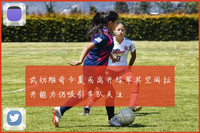 武切维奇今夏或离开绿军其空间拉开能力仍吸引多队关注